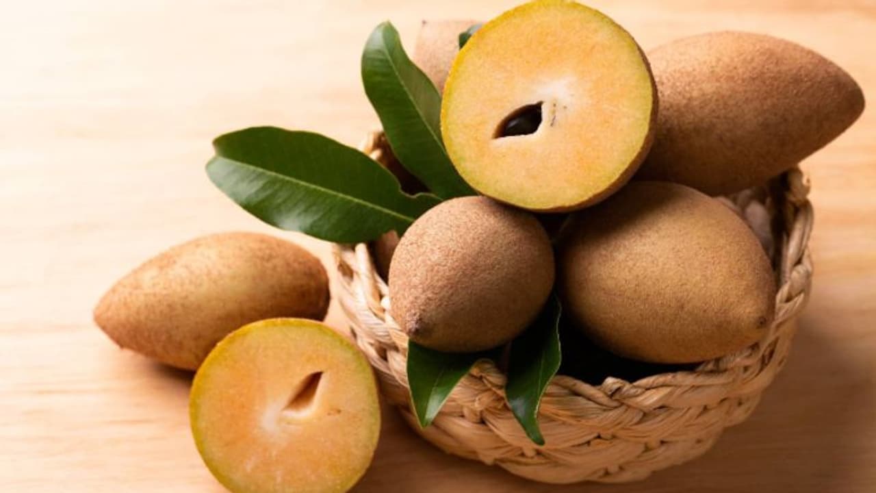 സപ്പോട്ട കഴിക്കാന് ഇഷ്ടമാണോ? എങ്കില്, നിങ്ങള് ഉറപ്പായും അറിയേണ്ടത്... സപ്പോട്ട കഴിക്കാന് ഇഷ്ടമാണോ? എങ്കില്, നിങ്ങള് ഉറപ്പായും അറിയേണ്ടത്...