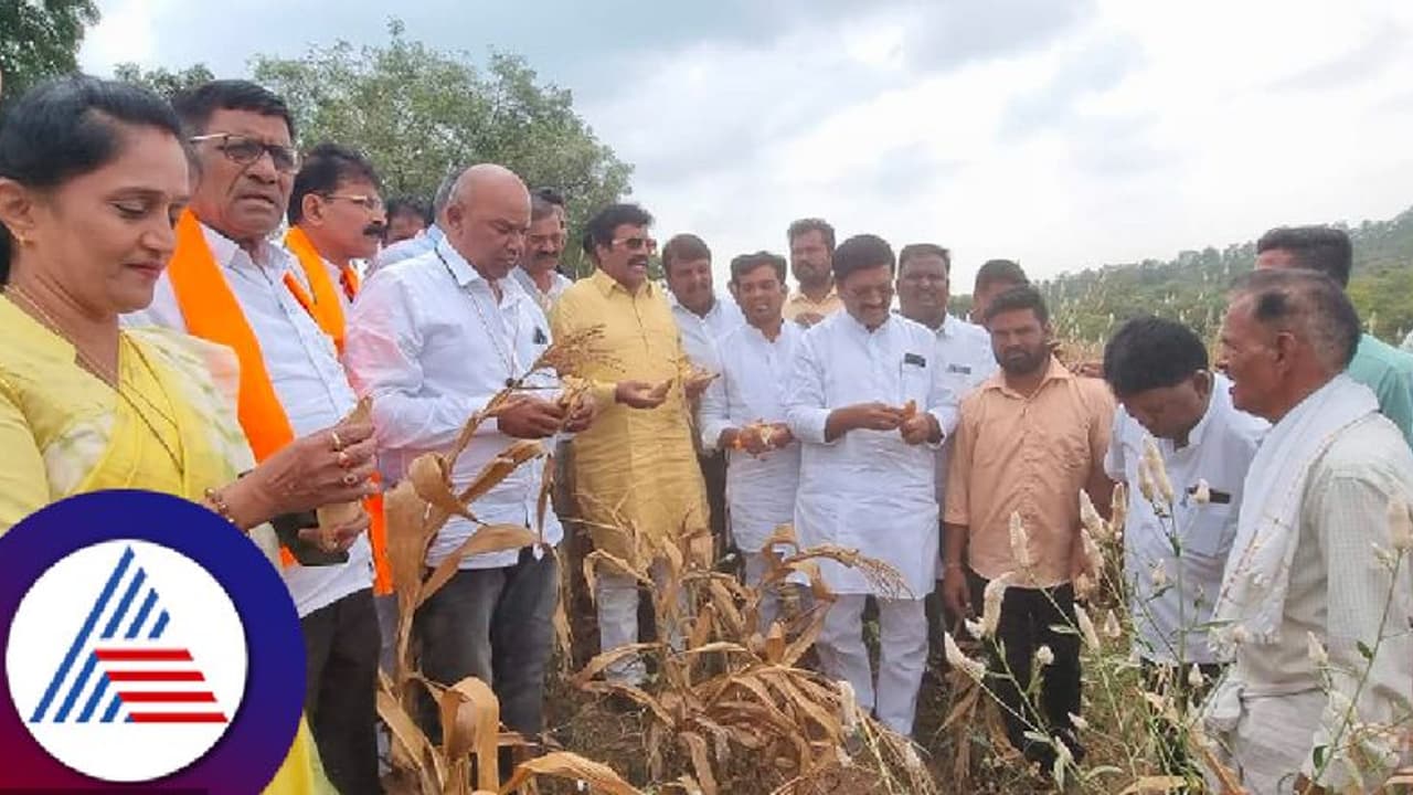 ಬಿಜೆಪಿ ಬರ ಅಧ್ಯಯನ ತಂಡದ ಮುಂದೆ ಬೆಳೆ ನಾಶಪಡಿಸಿದ ರೈತ! ಬಿಜೆಪಿ ಬರ ಅಧ್ಯಯನ ತಂಡದ ಮುಂದೆ ಬೆಳೆ ನಾಶಪಡಿಸಿದ ರೈತ!