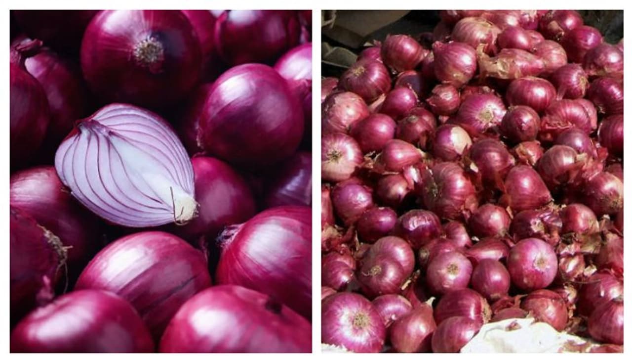 വിലയില് 'പോരടിച്ച്' ചെറിയ ഉള്ളിയും സവാളയും; കത്തിക്കയറി വില വിലയില് 'പോരടിച്ച്' ചെറിയ ഉള്ളിയും സവാളയും; കത്തിക്കയറി വില