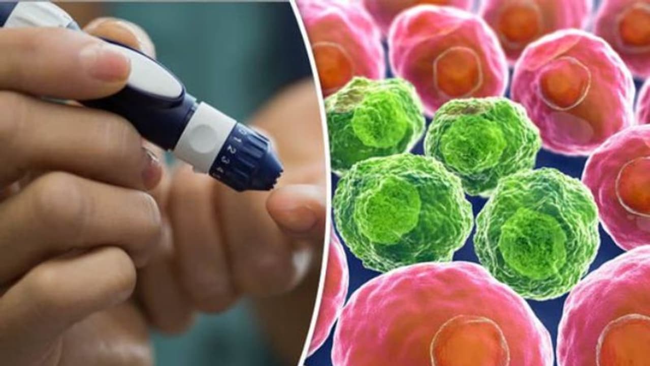 പ്രമേഹത്തെ നിയന്ത്രിക്കാനും ക്യാന്സര് സാധ്യതയെ കുറയ്ക്കാനും കഴിക്കാം ഈ ഒരൊറ്റ പച്ചക്കറി... പ്രമേഹത്തെ നിയന്ത്രിക്കാനും ക്യാന്സര് സാധ്യതയെ കുറയ്ക്കാനും കഴിക്കാം ഈ ഒരൊറ്റ പച്ചക്കറി...