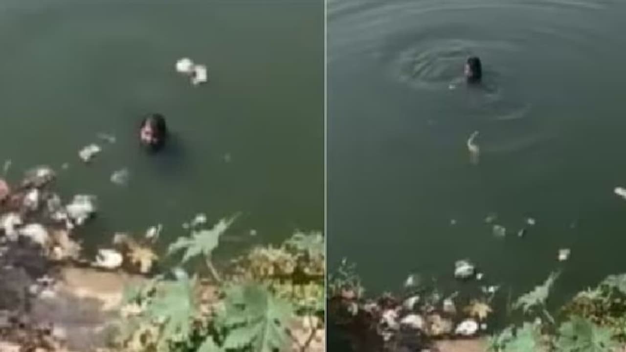 ಪೊಲೀಸರಿಂದ ತಪ್ಪಿಸಿಕೊಳ್ಳಲು ಕೆರೆಗೆ ಹಾರಿ ಈಜಿ ಪರಾರಿಯಾದ ಡ್ರಗ್ ಪೆಡ್ಲರ್