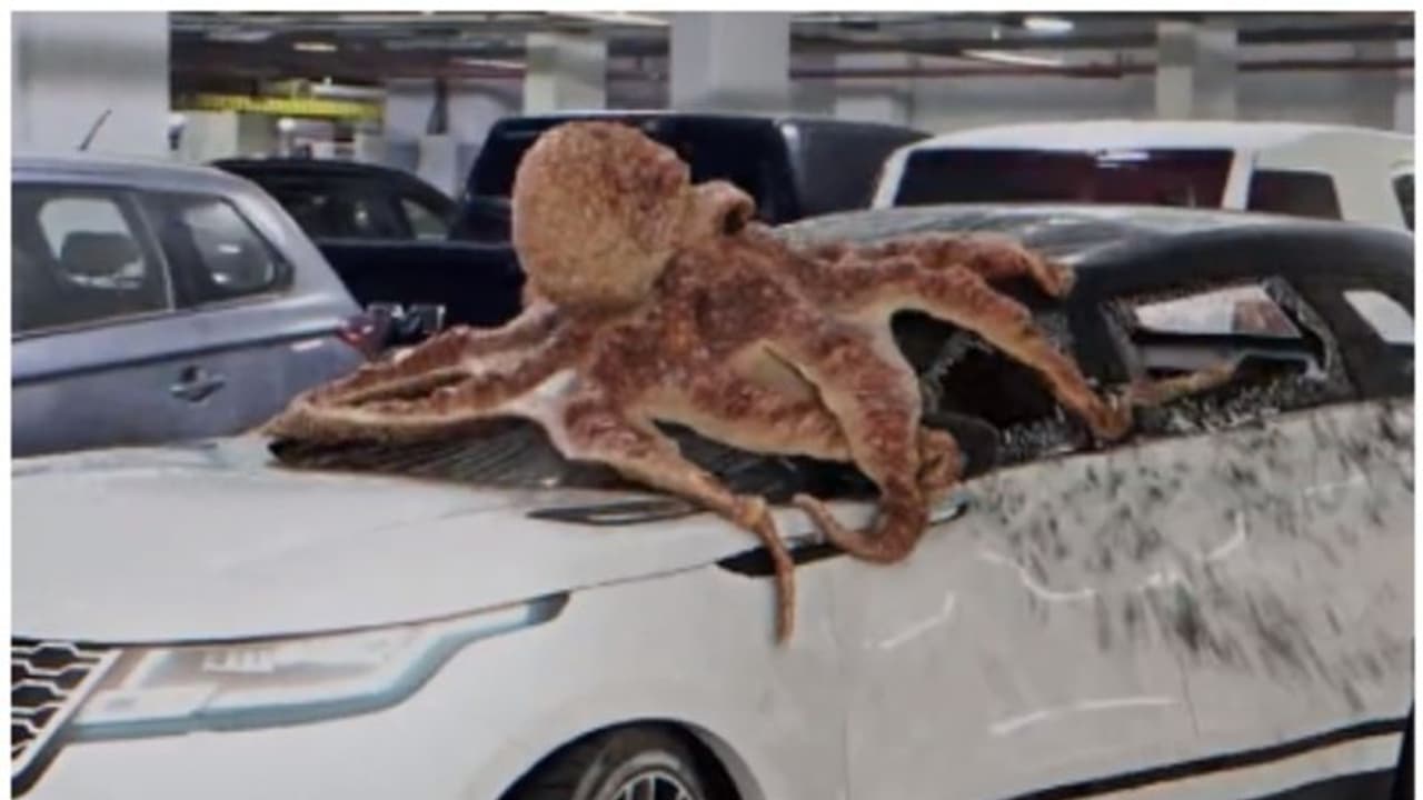 സെക്കന്‍റുകള്‍ക്കുള്ളില്‍ പാര്‍ക്കിംഗിലെ 'കാര്‍ തകര്‍ക്കുന്ന നീരാളി'യുടെ വീഡിയോയ്ക്ക് പിന്നിലെന്ത്? 