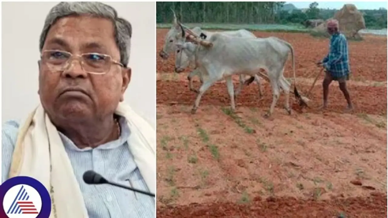 ಬರಗಾಲದಿಂದ 33,770 ಕೋಟಿ ರೂ. ನಷ್ಟವಾಗಿದ್ರೂ, ಪರಿಹಾರ ಕೇಳದೇ 25 ಸಂಸದರು ಕಳ್ಳೆಕಾಯಿ ತಿನ್ನುತ್ತಿದ್ದಾರಾ? ಸಿಎಂ ಟೀಕೆ ಬರಗಾಲದಿಂದ 33,770 ಕೋಟಿ ರೂ. ನಷ್ಟವಾಗಿದ್ರೂ, ಪರಿಹಾರ ಕೇಳದೇ 25 ಸಂಸದರು ಕಳ್ಳೆಕಾಯಿ ತಿನ್ನುತ್ತಿದ್ದಾರಾ? ಸಿಎಂ ಟೀಕೆ