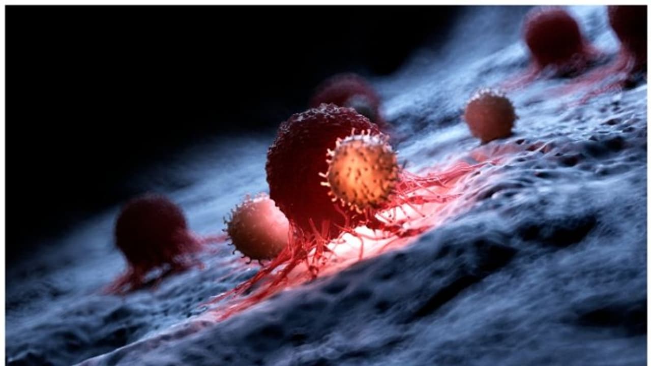 കാൻസർ ; ശരീരം മുൻകൂട്ടി കാണിക്കുന്ന ചില ലക്ഷണങ്ങൾ കാൻസർ ; ശരീരം മുൻകൂട്ടി കാണിക്കുന്ന ചില ലക്ഷണങ്ങൾ