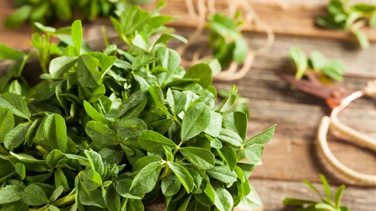 ഉലുവയിലയുടെ ഈ ഗുണങ്ങൾ അറിയാതെ പോകരുത് ഉലുവയിലയുടെ ഈ ഗുണങ്ങൾ അറിയാതെ പോകരുത്