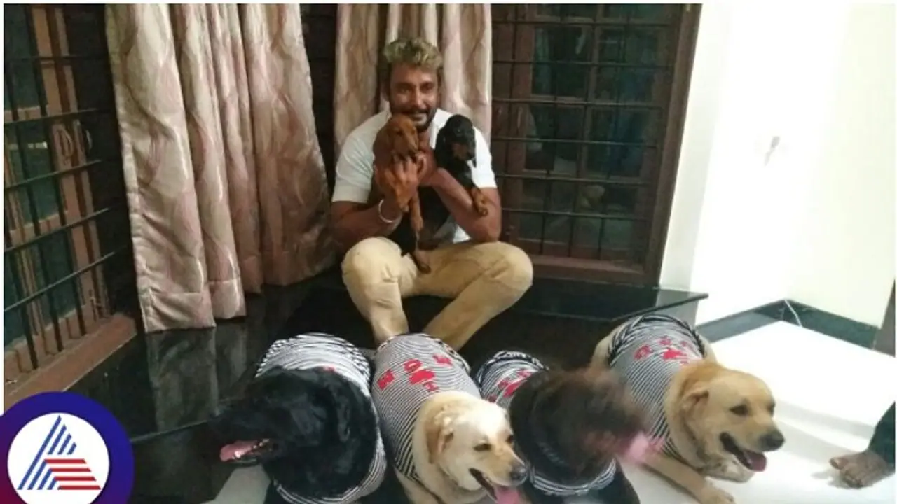 ನಟ ದರ್ಶನ್ ಮೇಲೆ ದಾಖಲಾಯ್ತು ಎಫ್ಐಆರ್: ಹರಿದ ಬಟ್ಟೆಯಲ್ಲಿ ಬಂದು ದೂರು ಕೊಟ್ಟ ಮಹಿಳೆ ನಟ ದರ್ಶನ್ ಮೇಲೆ ದಾಖಲಾಯ್ತು ಎಫ್ಐಆರ್: ಹರಿದ ಬಟ್ಟೆಯಲ್ಲಿ ಬಂದು ದೂರು ಕೊಟ್ಟ ಮಹಿಳೆ