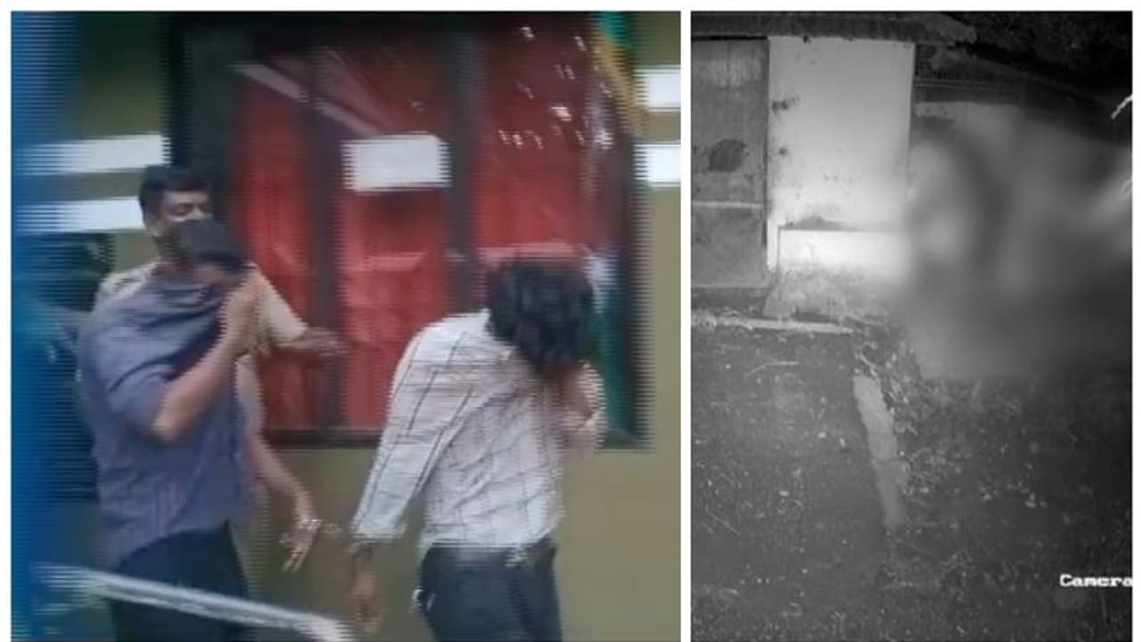 വീടിന് പുറത്തെ കുളിമുറിയിൽ ആളനക്കം, സിസിടിവി വച്ചു; നഗ്നനായി യുവാവ്, പീഡിപ്പിച്ച് കൊന്നത് ആട്ടിൻക്കുട്ടിയെ വീടിന് പുറത്തെ കുളിമുറിയിൽ ആളനക്കം, സിസിടിവി വച്ചു; നഗ്നനായി യുവാവ്, പീഡിപ്പിച്ച് കൊന്നത് ആട്ടിൻക്കുട്ടിയെ