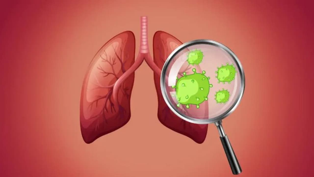 World Lung Cancer Day 2024 : ശ്വാസകോശ ക്യാൻസർ തടയാൻ ജീവിതശെെലിയിൽ ശ്രദ്ധിക്കേണ്ടത് എന്തൊക്കെ?