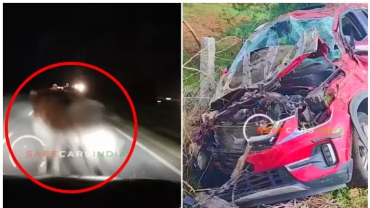 കൂരിരുട്ടില്‍ ഹൈവേയില്‍ പ്രത്യക്ഷമായി 'യമവാഹനം'! 110 കിമി വേഗതയില്‍ പാഞ്ഞ സെല്‍റ്റോസിന്‍റെ നില ദയനീയം!