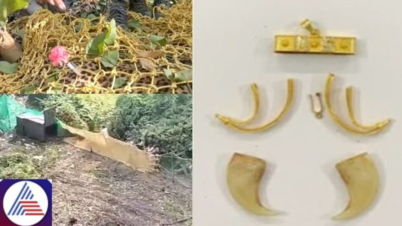 Bengaluru: Forest dept under scrutiny over dual stance on tiger pendant, leopard shooting