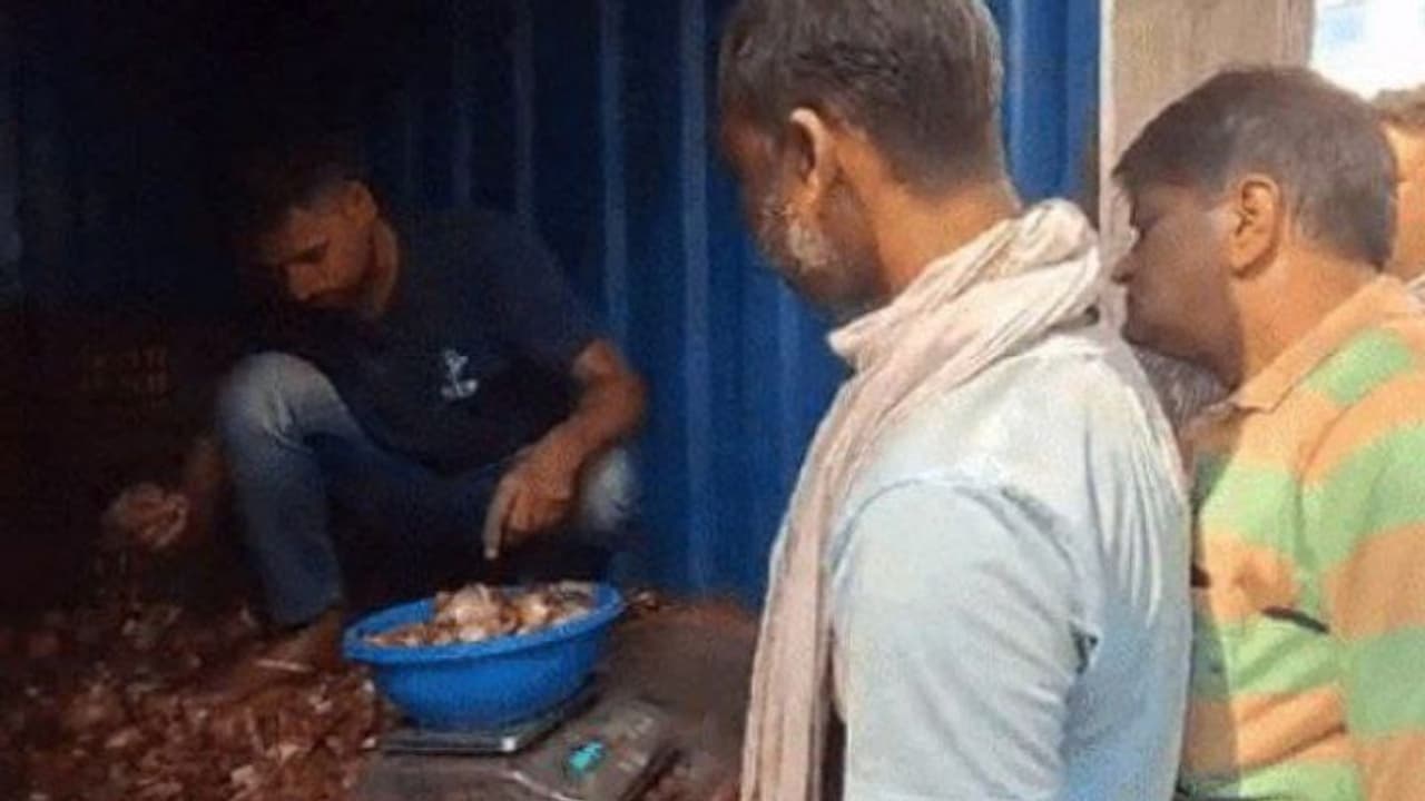 Onion market trends: जयपुर में 5 किलो प्याज सिर्फ 25 रुपए में...जानिए कैसे खरीद सकेंगे सस्ते में?
