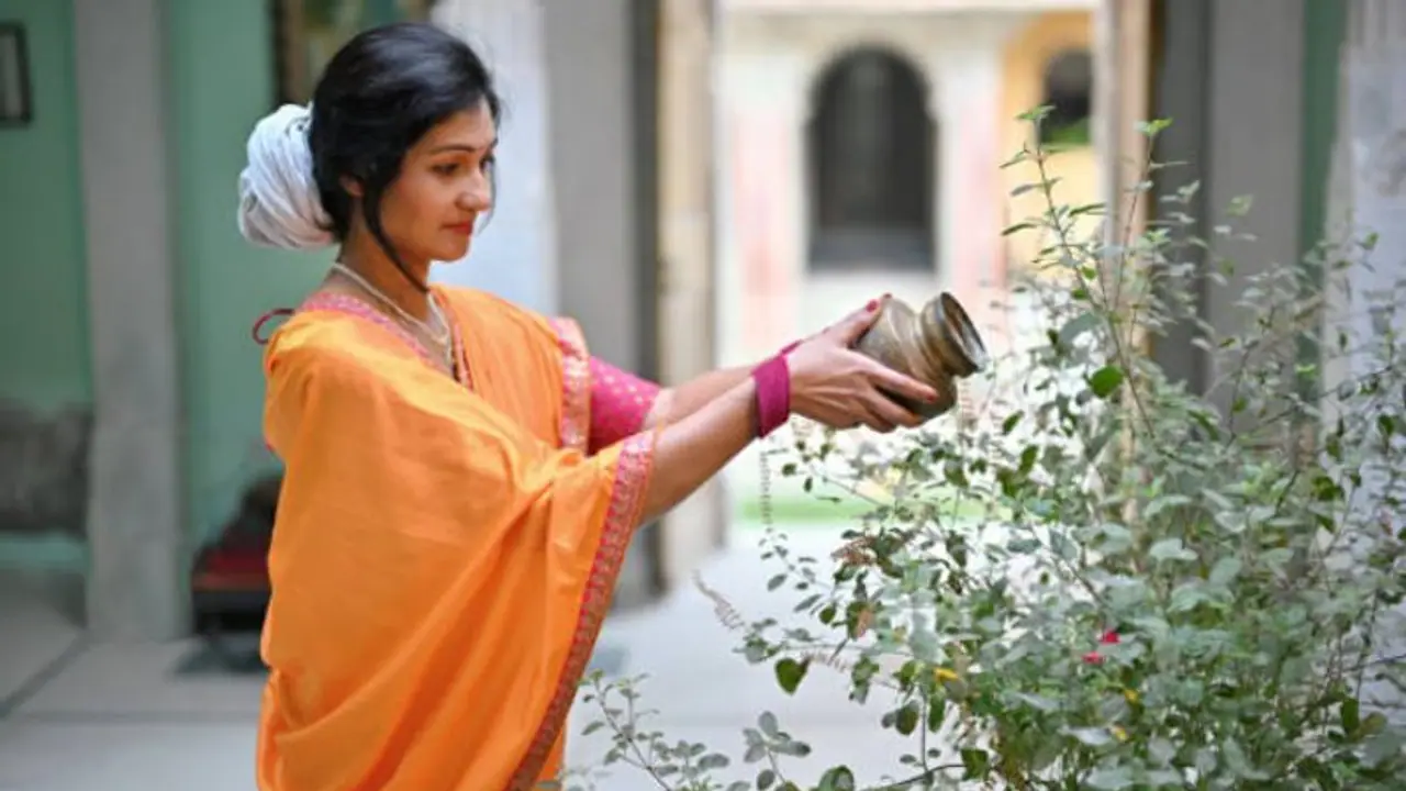 Can worshipping of Tulsi plant remove your sins? Read importance, significance and more