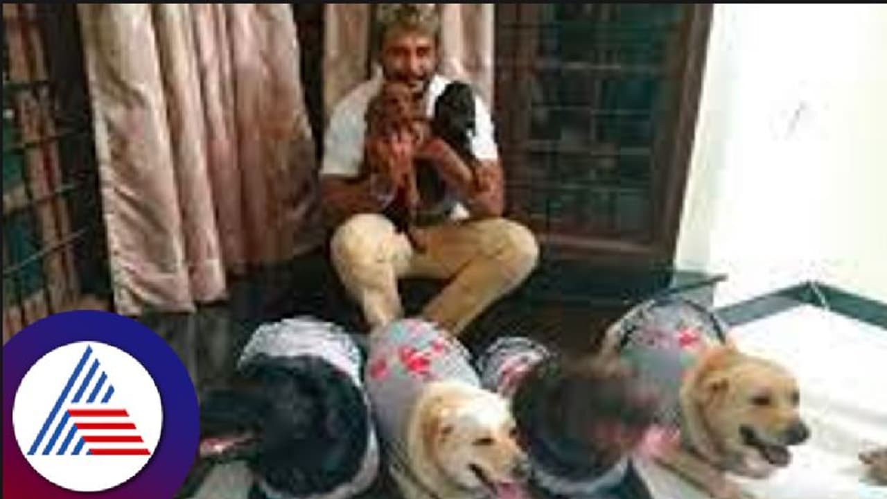 ಡಿ ಬಾಸ್ಗೆ ಸಾಕಿದ ಕುತ್ತೆಗಳಿಂದ ಕುತ್ತು , ಮತ್ತೊಮ್ಮೆ ವಿಚಾರಣೆ ಬರುವಂತೆ ಸೂಚನೆ ಡಿ ಬಾಸ್ಗೆ ಸಾಕಿದ ಕುತ್ತೆಗಳಿಂದ ಕುತ್ತು , ಮತ್ತೊಮ್ಮೆ ವಿಚಾರಣೆ ಬರುವಂತೆ ಸೂಚನೆ