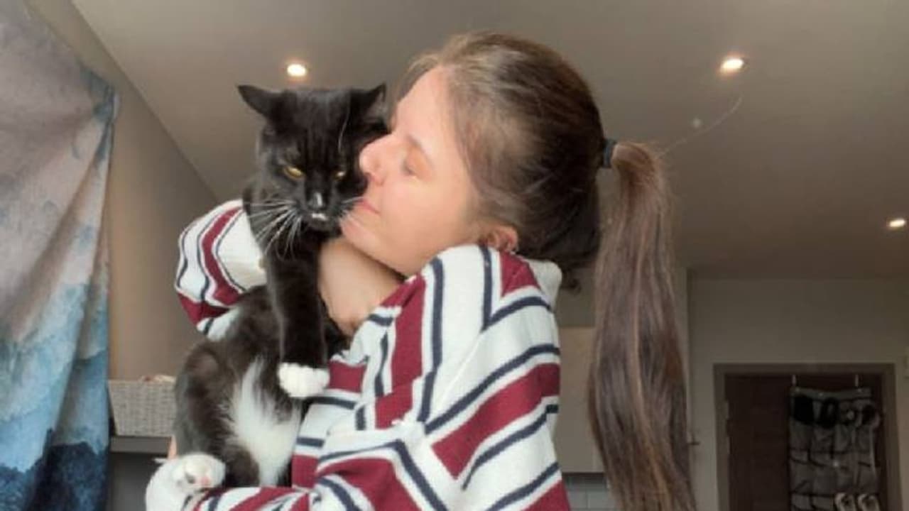 പൂച്ചയെ കാണാതായി, കണ്ടെത്താൻ 80,000 രൂപ നൽകി പെറ്റ് ഡിറ്റക്ടീവിനെ ഏർപ്പാടാക്കി യുവതി പൂച്ചയെ കാണാതായി, കണ്ടെത്താൻ 80,000 രൂപ നൽകി പെറ്റ് ഡിറ്റക്ടീവിനെ ഏർപ്പാടാക്കി യുവതി