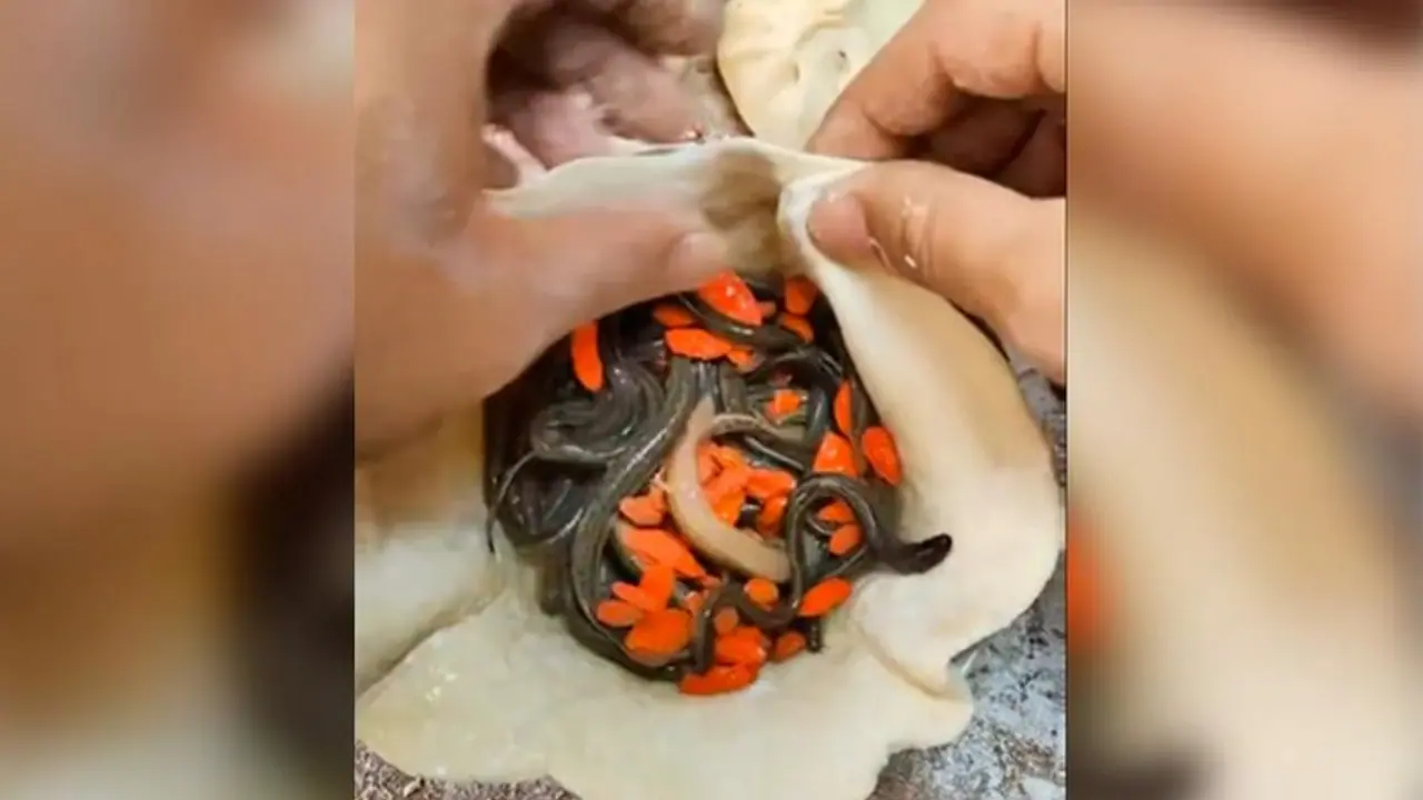 Viral Video: Man stuffing live worms inside momos in China leaves internet disgusted (WATCH)