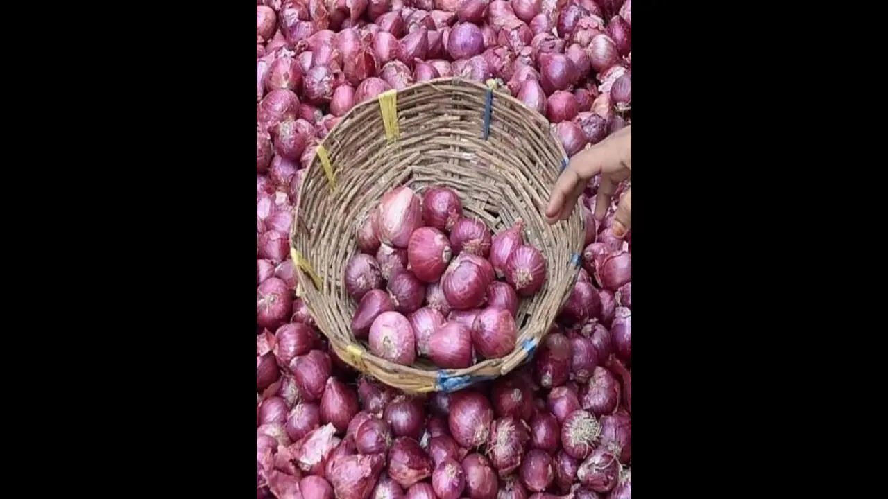 நினைத்தாலே கண்ணீர் வரவழைக்கும் வெங்காய விலை.. தமிழக அரசு சொன்ன குட்நியூஸ்.. நினைத்தாலே கண்ணீர் வரவழைக்கும் வெங்காய விலை.. தமிழக அரசு சொன்ன குட்நியூஸ்..