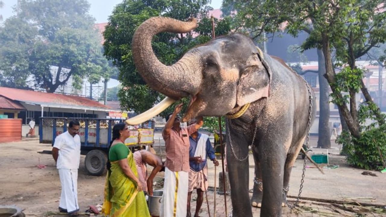 സ്വഭാവദൂഷ്യം മൂലം 26 വർഷമായി തടവറയിൽ! ഒടുവിൽ ഒറ്റക്കൊമ്പന് ചന്ദ്രശേഖരന് പുറത്തിറങ്ങി സ്വഭാവദൂഷ്യം മൂലം 26 വർഷമായി തടവറയിൽ! ഒടുവിൽ ഒറ്റക്കൊമ്പന് ചന്ദ്രശേഖരന് പുറത്തിറങ്ങി