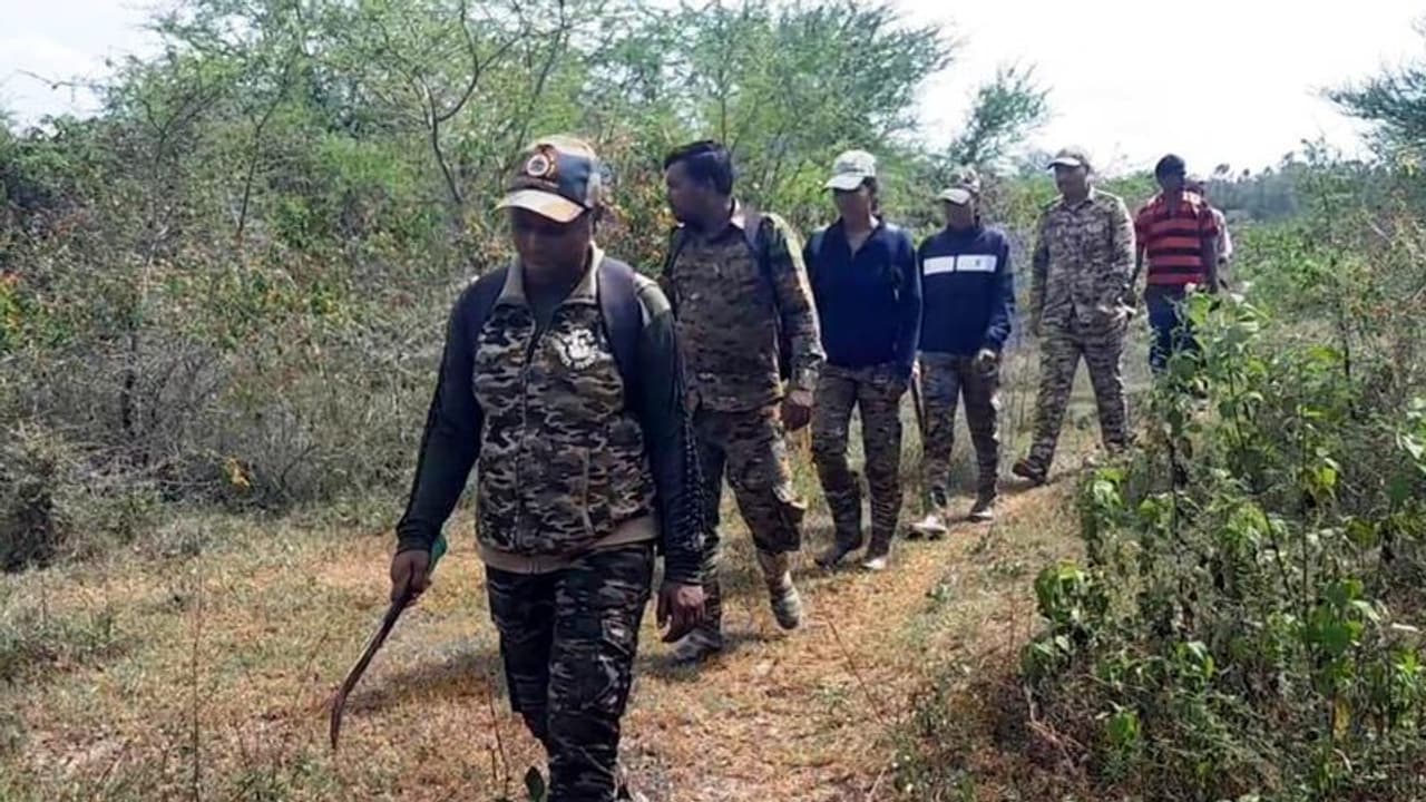 Nanjanagudu: ಹುಲಿ ಸೆರೆಗಾಗಿ ಕೂಂಬಿಂಗ್ ಆರಂಭ Nanjanagudu: ಹುಲಿ ಸೆರೆಗಾಗಿ ಕೂಂಬಿಂಗ್ ಆರಂಭ