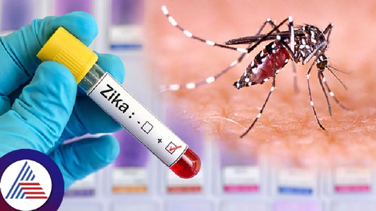 ಕರ್ನಾಟಕದಲ್ಲಿ ಜೀಕಾ ವೈರಸ್ ಭೀತಿ: 7 ಪ್ರಕರಣಗಳು ಪತ್ತೆ, ಎಚ್ಚರಿಕೆ ಕೊಟ್ಟ ಆರೋಗ್ಯ ಇಲಾಖೆ! ಕರ್ನಾಟಕದಲ್ಲಿ ಜೀಕಾ ವೈರಸ್ ಭೀತಿ: 7 ಪ್ರಕರಣಗಳು ಪತ್ತೆ, ಎಚ್ಚರಿಕೆ ಕೊಟ್ಟ ಆರೋಗ್ಯ ಇಲಾಖೆ!