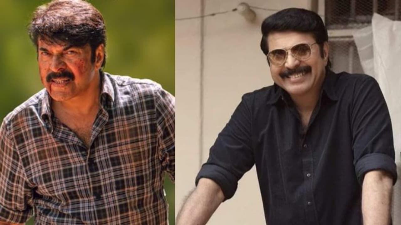 'മമ്മൂട്ടി കമ്പനിക്ക് ഒരു കുതിര പവൻ, സഹനങ്ങളിലൂടെ പോയാലും യുദ്ധം ജയിച്ച ചരിത്രമല്ലേ പാണ്ഡവർക്ക് ഉള്ളൂ'