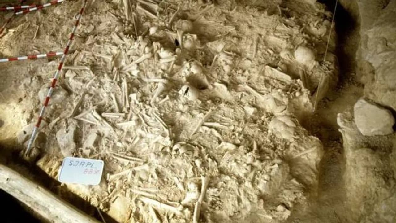 യൂറോപ്പിലെ ആദ്യയുദ്ധമുണ്ടായത് 5000 വർഷങ്ങൾക്ക് മുമ്പ്, പുതിയ കണ്ടെത്തലുമായി ​ഗവേഷകർ