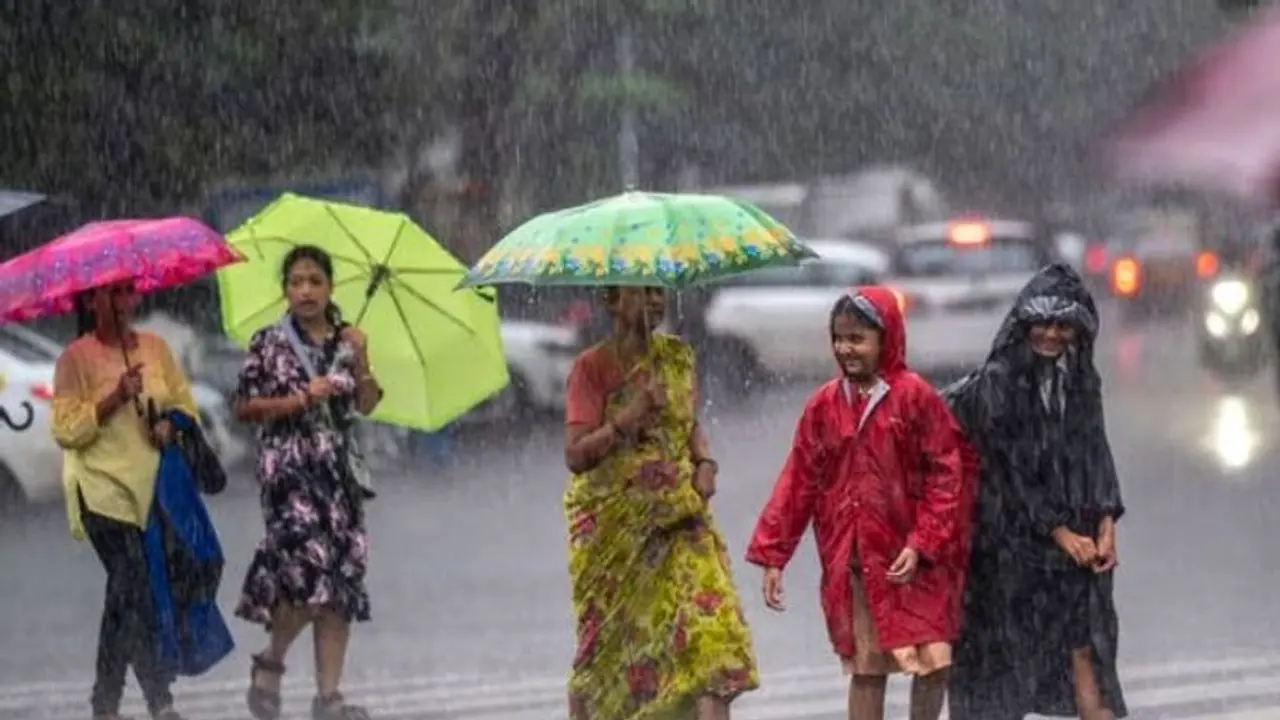 Kerala: Heavy rain to intensify in the state today; IMD issues orange alert in 3 districts Kerala: Heavy rain to intensify in the state today; IMD issues orange alert in 3 districts