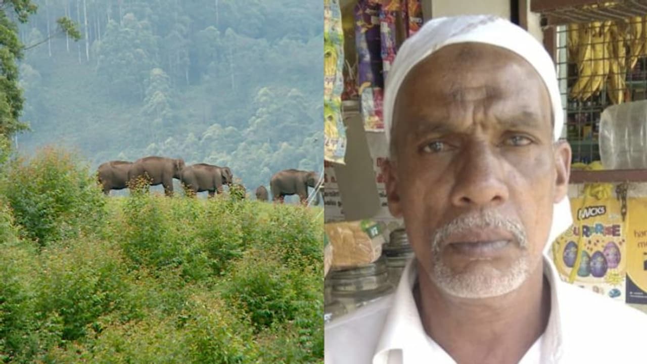 ട്രാന്സ്ഫോമറിന് പിന്നിലൊളിച്ച് കാട്ടുകൊമ്പൻ, വയനാട്ടില് ജോലിക്ക് പോയ 58കാരന് ദാരുണാന്ത്യം ട്രാന്സ്ഫോമറിന് പിന്നിലൊളിച്ച് കാട്ടുകൊമ്പൻ, വയനാട്ടില് ജോലിക്ക് പോയ 58കാരന് ദാരുണാന്ത്യം