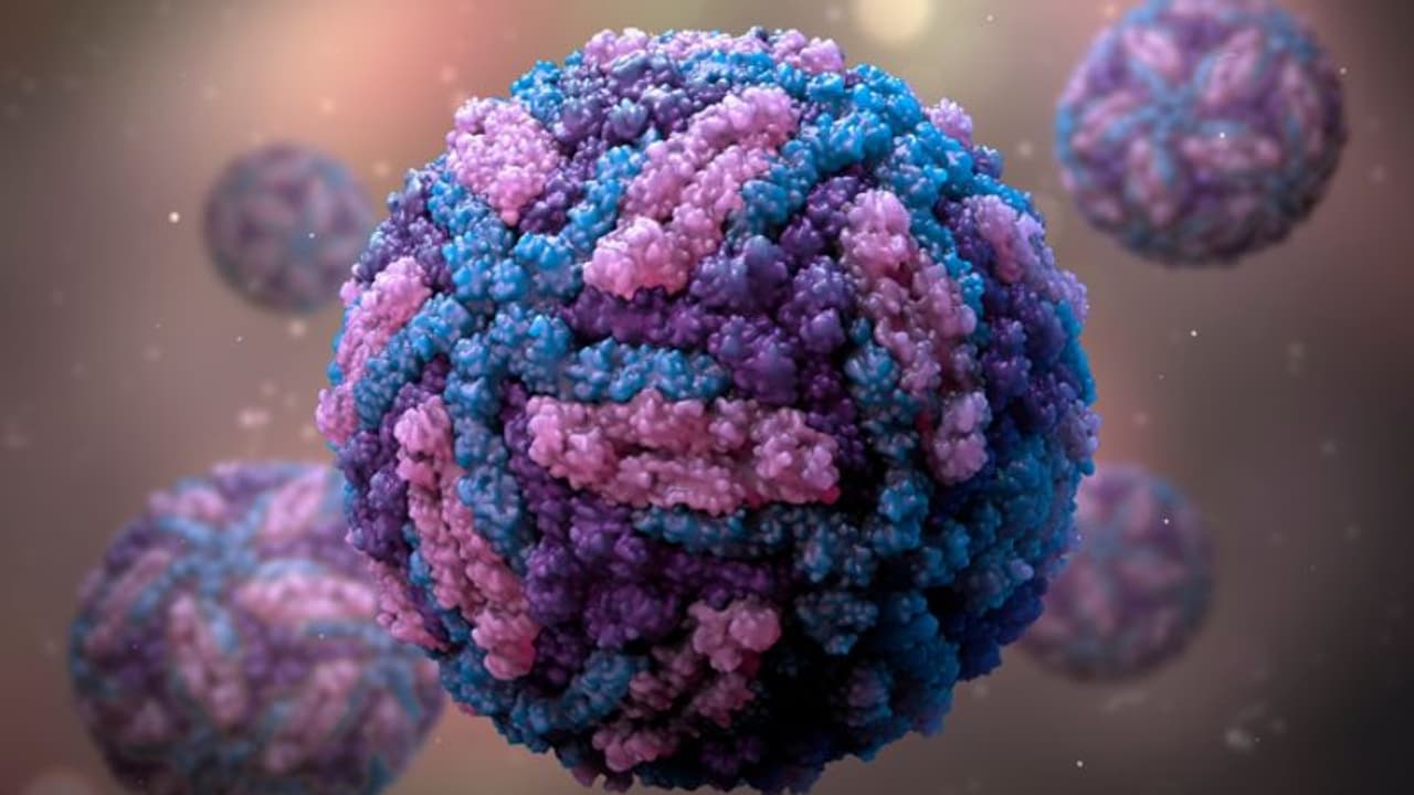 Health and Pandemic: ಈಗಿರೋ ನಾಲ್ಕು ವೈರಸ್ಸೇ ಭವಿಷ್ಯದ ದೊಡ್ಡ ಸಾಂಕ್ರಾಮಿಕ!