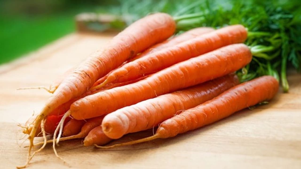 ശ്വാസകോശ രോഗങ്ങളെ അകറ്റാൻ പതിവായി കഴിക്കാം 'എബിസിഡി' ഫുഡ്സ്... ശ്വാസകോശ രോഗങ്ങളെ അകറ്റാൻ പതിവായി കഴിക്കാം 'എബിസിഡി' ഫുഡ്സ്...