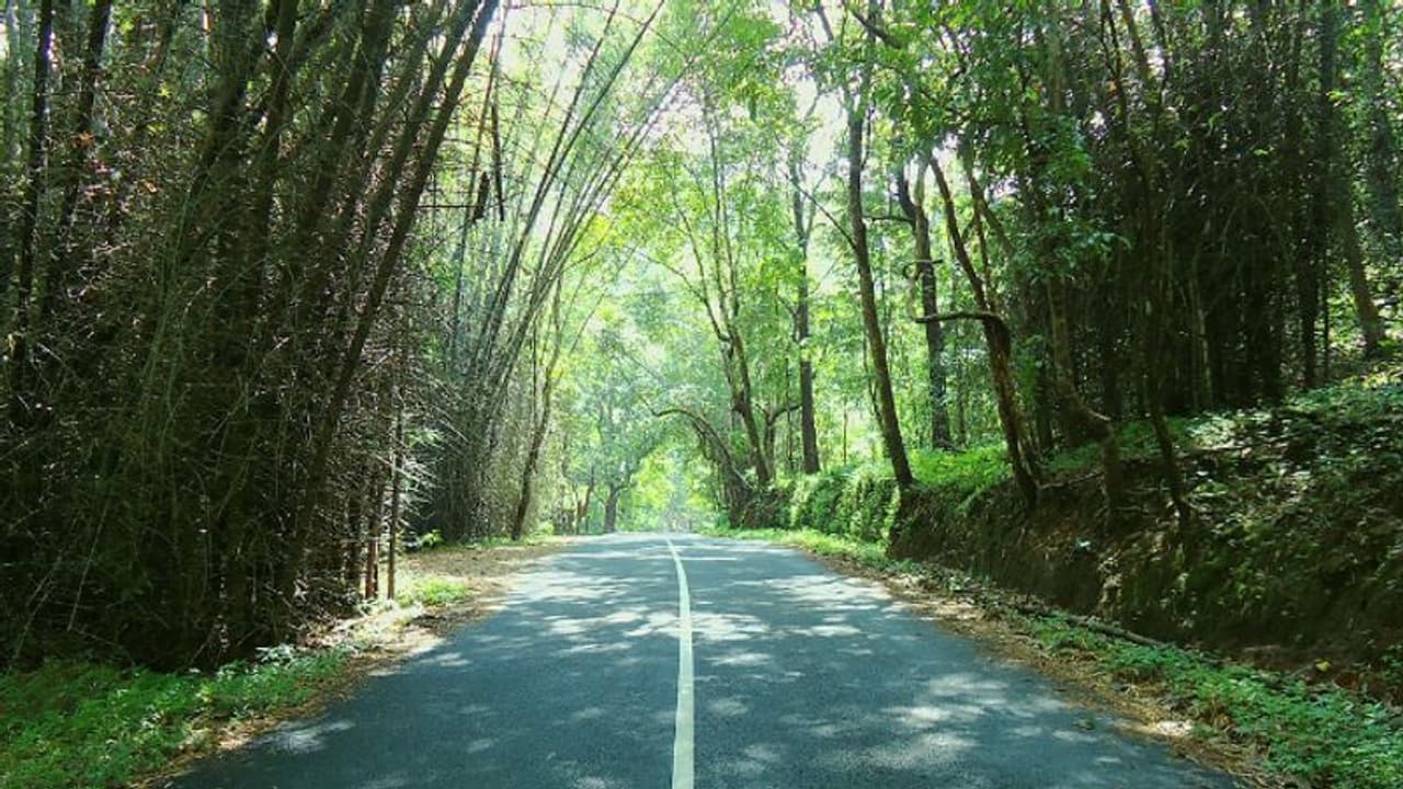 അതിരപ്പിള്ളി മലക്കപ്പാറ റൂട്ടിൽ യാത്രയ്ക്ക് ഒരുങ്ങുകയാണോ? '15 ദിവസം പൂർണ ഗതാഗത നിയന്ത്രണം', അറിയേണ്ട കാര്യങ്ങൾ
