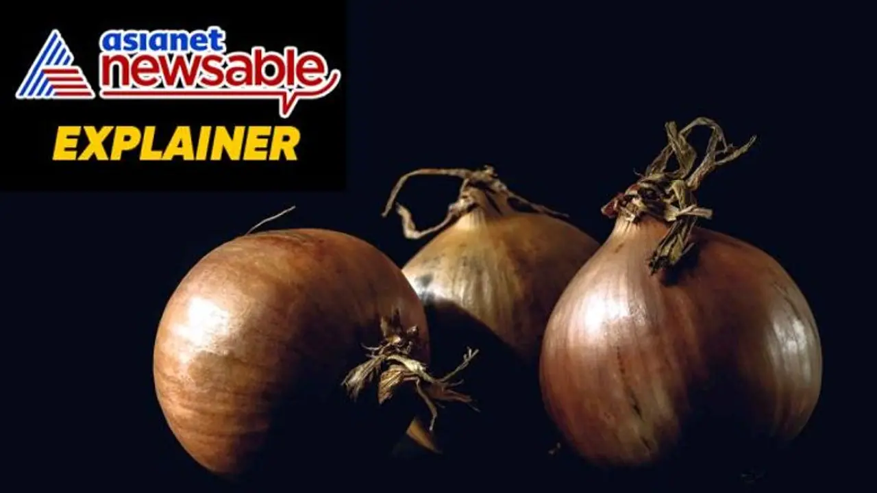 Explained: How Modi government brought down onion prices by 24% Explained: How Modi government brought down onion prices by 24%