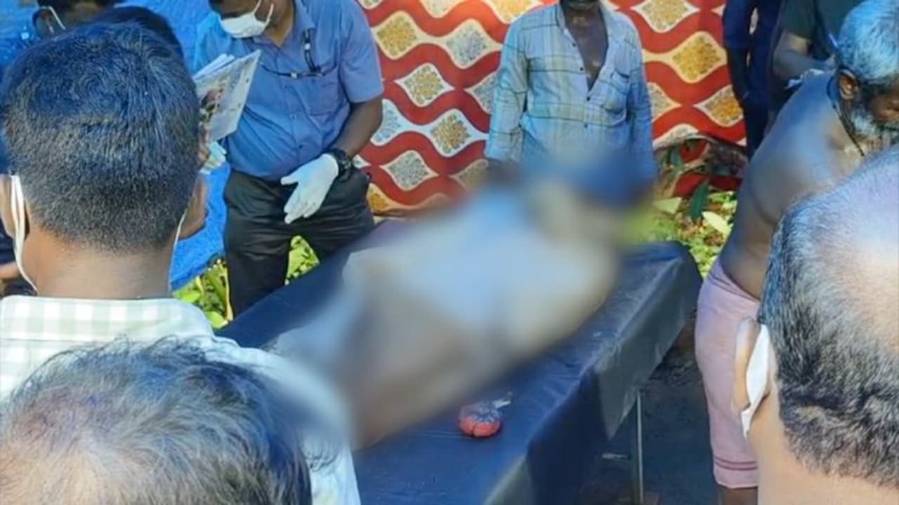 ഒരു വർഷം മുമ്പ് കെട്ടിടത്തിൽ നിന്ന് വീണ് മരിച്ചു; ദുരൂഹത, കല്ലറ തുറന്ന് മൃതദേഹം പുറത്തെടുത്ത് പരിശോധന ഒരു വർഷം മുമ്പ് കെട്ടിടത്തിൽ നിന്ന് വീണ് മരിച്ചു; ദുരൂഹത, കല്ലറ തുറന്ന് മൃതദേഹം പുറത്തെടുത്ത് പരിശോധന