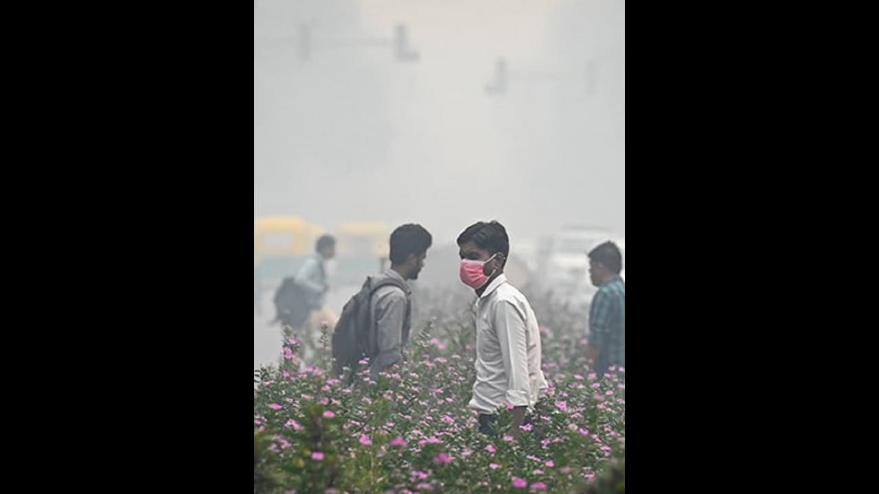 ದೆಹಲಿ ವಿಶ್ವದಲ್ಲೇ ನಂ.1 ಮಲಿನ ನಗರ, ತೀರಾ ವಿಷಮ ಸ್ಥಿತಿ, ಟ್ರಕ್ಗಳು ಬ್ಯಾನ್! ದೆಹಲಿ ವಿಶ್ವದಲ್ಲೇ ನಂ.1 ಮಲಿನ ನಗರ, ತೀರಾ ವಿಷಮ ಸ್ಥಿತಿ, ಟ್ರಕ್ಗಳು ಬ್ಯಾನ್!