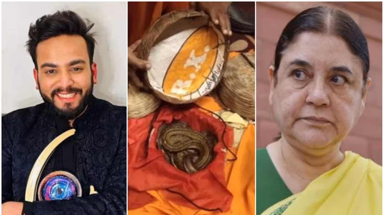 'പാര്ട്ടികളില് പാമ്പിന്റെ വിഷം' പരാമര്ശം: മനേക ഗാന്ധിക്കെതിരെ യൂട്യൂബര് 'പാര്ട്ടികളില് പാമ്പിന്റെ വിഷം' പരാമര്ശം: മനേക ഗാന്ധിക്കെതിരെ യൂട്യൂബര്