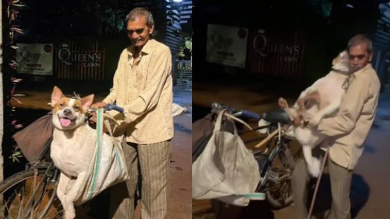 70 വയസ്സുള്ള ഗാർഡിന് കാവൽക്കാരനായി നായ; ആരെയും അത്ഭുതപ്പെടുത്തുന്ന ആത്മബന്ധം 70 വയസ്സുള്ള ഗാർഡിന് കാവൽക്കാരനായി നായ; ആരെയും അത്ഭുതപ്പെടുത്തുന്ന ആത്മബന്ധം