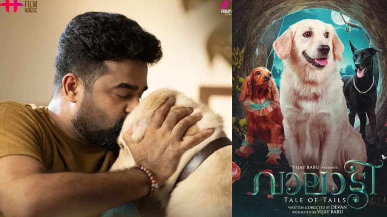 തിയറ്ററില് മിസ് ആയതാണോ? 'വാലാട്ടി' ഒടിടിയില് റിലീസായി; വിവരങ്ങള് ഇങ്ങനെ തിയറ്ററില് മിസ് ആയതാണോ? 'വാലാട്ടി' ഒടിടിയില് റിലീസായി; വിവരങ്ങള് ഇങ്ങനെ