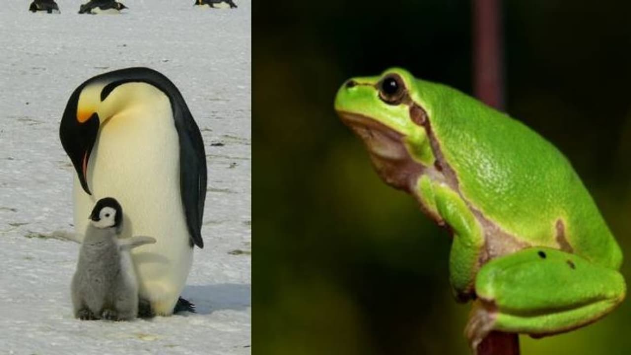 ഒന്നും രണ്ടും ദിവസമല്ല, മാസങ്ങളോളം ഭക്ഷണമില്ലാതെ ജീവിക്കാൻ സാധിക്കുന്ന ചില ജീവികൾ..! ഒന്നും രണ്ടും ദിവസമല്ല, മാസങ്ങളോളം ഭക്ഷണമില്ലാതെ ജീവിക്കാൻ സാധിക്കുന്ന ചില ജീവികൾ..!