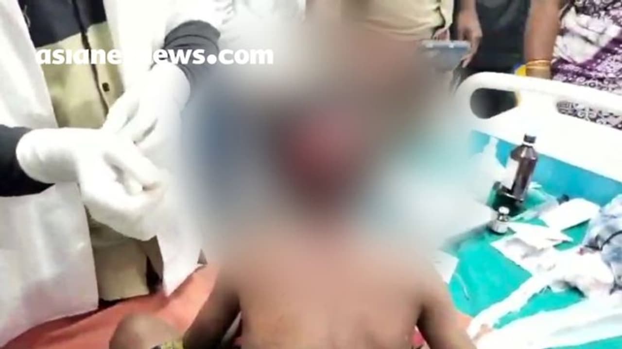 വീട്ടുമുറ്റത്ത് കളിച്ചുകൊണ്ടിരിക്കെ പുലിയുടെ ആക്രമണം: ഏഴ് വയസുകാരന് ഗുരുതര പരിക്ക് വീട്ടുമുറ്റത്ത് കളിച്ചുകൊണ്ടിരിക്കെ പുലിയുടെ ആക്രമണം: ഏഴ് വയസുകാരന് ഗുരുതര പരിക്ക്