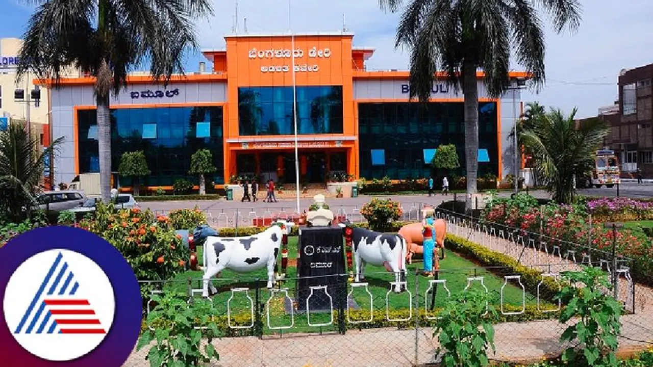 Ramanagara: ಬಮೂಲ್ ಆಡಳಿತಾವಧಿ ಅಂತ್ಯ; ರಾಜಕೀಯ ಚಟುವಟಿಕೆ ಚುರುಕು Ramanagara: ಬಮೂಲ್ ಆಡಳಿತಾವಧಿ ಅಂತ್ಯ; ರಾಜಕೀಯ ಚಟುವಟಿಕೆ ಚುರುಕು