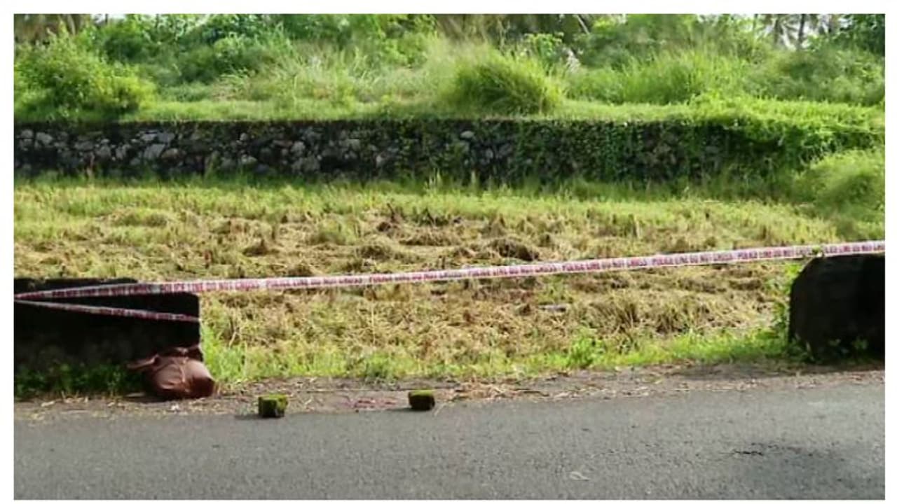 ഭാര്യ പിണങ്ങി സ്വന്തം വീട്ടിലേക്ക് പോയി; പാലക്കാട് 32 കാരിയെ ഭർത്താവ് വീട്ടിൽ കയറി വെട്ടിക്കൊന്നു ഭാര്യ പിണങ്ങി സ്വന്തം വീട്ടിലേക്ക് പോയി; പാലക്കാട് 32 കാരിയെ ഭർത്താവ് വീട്ടിൽ കയറി വെട്ടിക്കൊന്നു