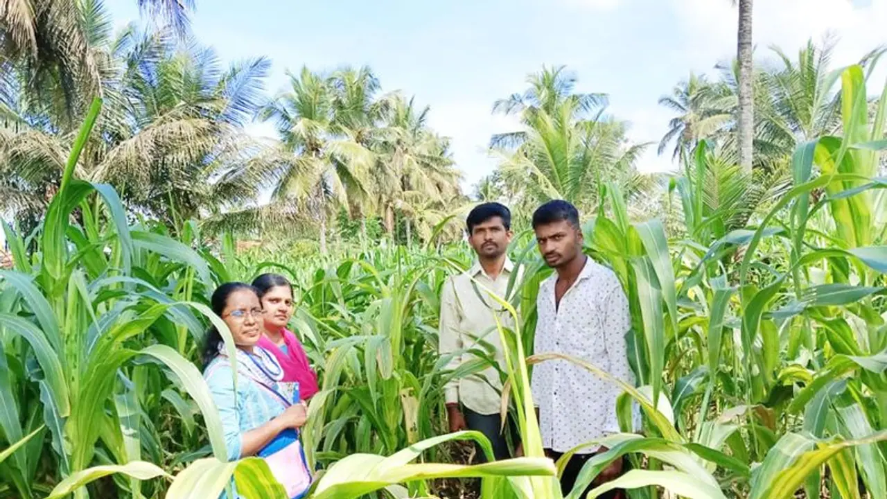 ಬೆಳೆಗಳಲ್ಲಿ ರೋಗ ಬಾರದಂತೆ ಮುಂಜಾಗ್ರತಾ ಕ್ರಮ ವಹಿಸಲು ರೈತರಿಗೆ ಸಲಹೆ ಬೆಳೆಗಳಲ್ಲಿ ರೋಗ ಬಾರದಂತೆ ಮುಂಜಾಗ್ರತಾ ಕ್ರಮ ವಹಿಸಲು ರೈತರಿಗೆ ಸಲಹೆ
