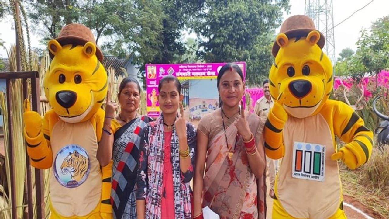 சத்தீஸ்கரில் தொடங்கிய வாக்குப்பதிவு: குண்டு வெடிப்பில் சிஆர்பிஎஃப் வீரர் காயம்! சத்தீஸ்கரில் தொடங்கிய வாக்குப்பதிவு: குண்டு வெடிப்பில் சிஆர்பிஎஃப் வீரர் காயம்!