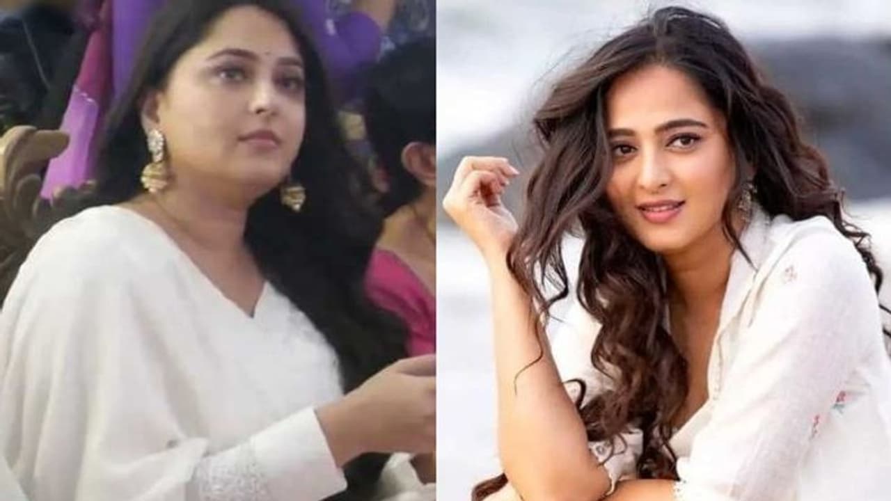 രഹസ്യ വിവാഹം നടന്നോ? ഇന്ന് 42ാം പിറന്നാള് ആഘോഷിക്കുന്ന അനുഷ്ക നല്കിയ മറുപടി ഇങ്ങനെ.! രഹസ്യ വിവാഹം നടന്നോ? ഇന്ന് 42ാം പിറന്നാള് ആഘോഷിക്കുന്ന അനുഷ്ക നല്കിയ മറുപടി ഇങ്ങനെ.!