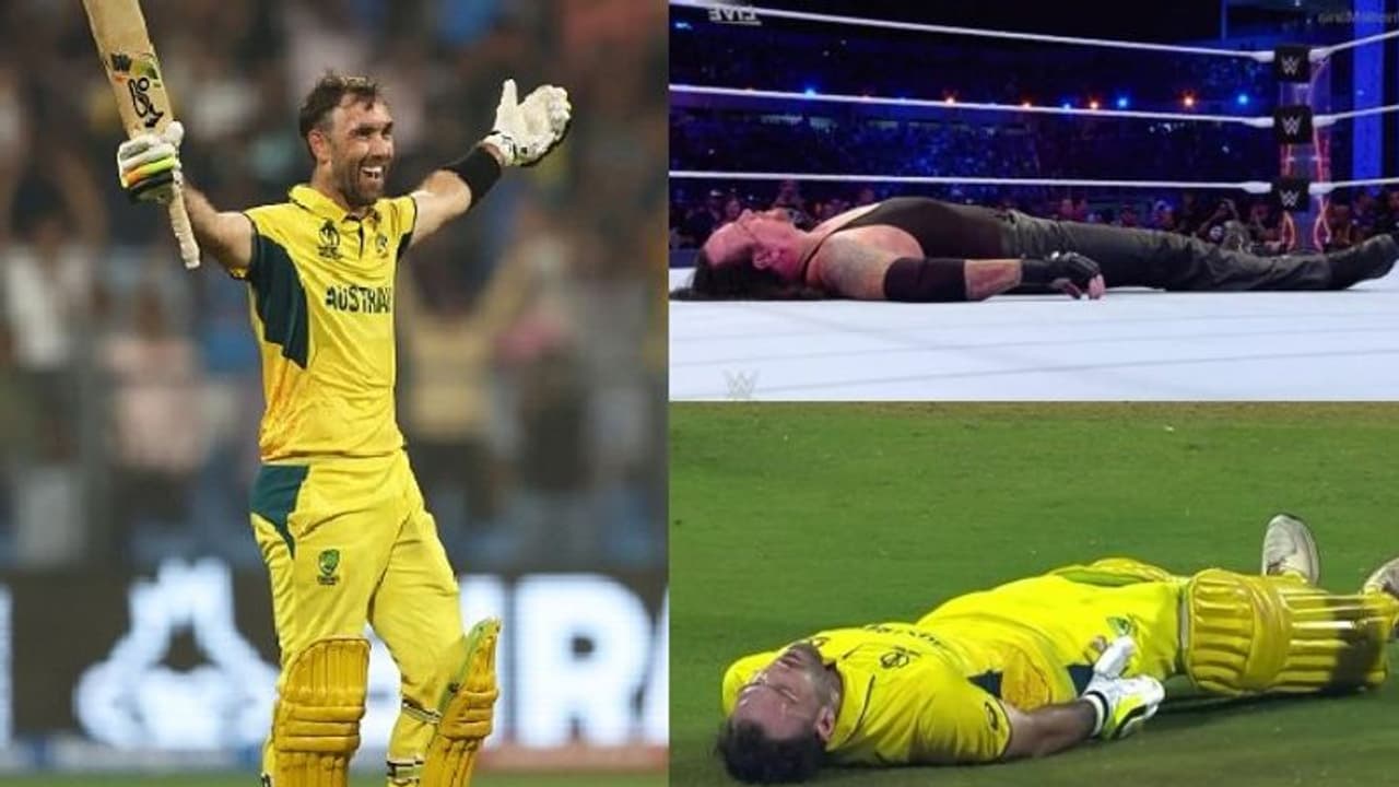 'Maxwell does an Undertaker': Meme fest explodes after 'one legged' Glenn fires Australia to WC semifinals