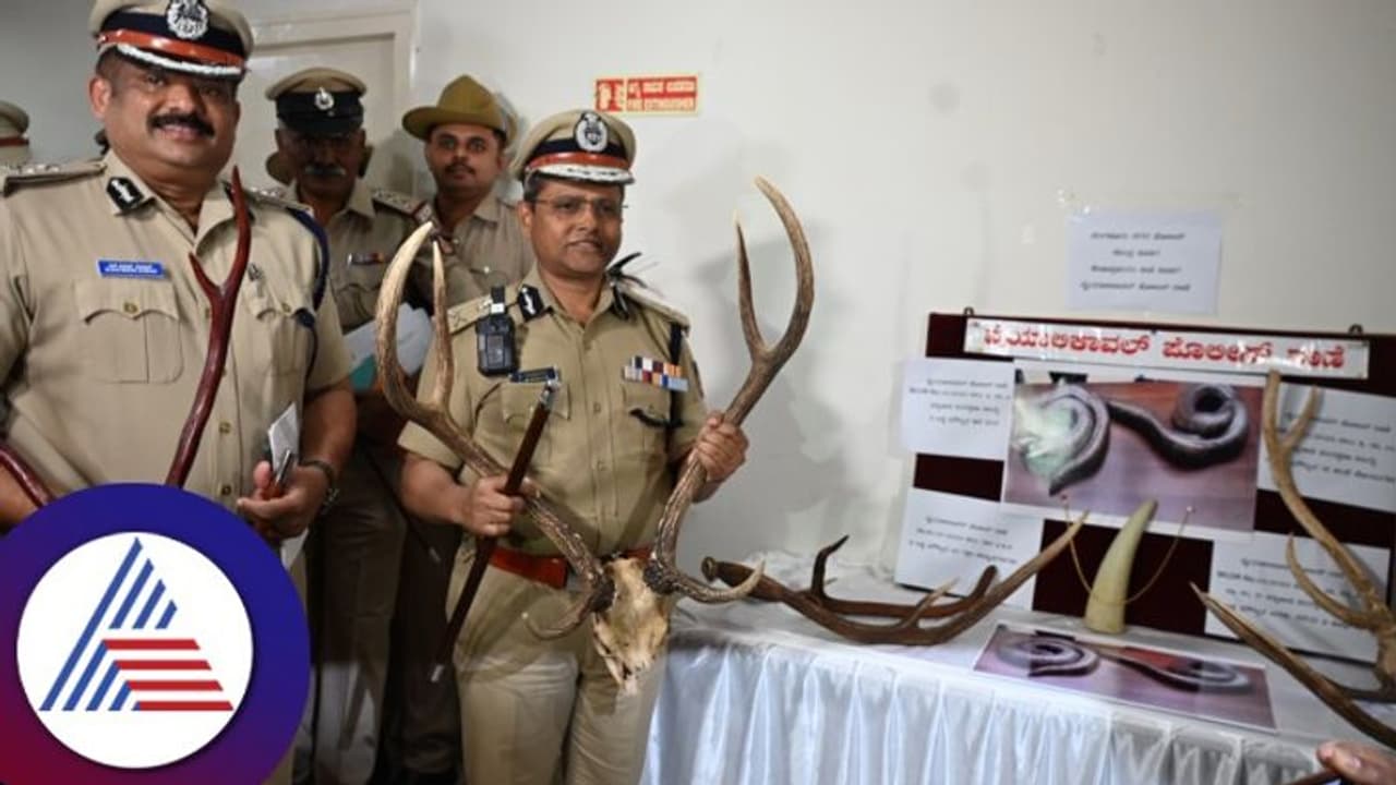 ಜಿಂಕೆ ಕೊಂದು ಭಕ್ಷಿಸಿ, ಕೊಂಬು ಮಾರಲು ಬಂದಿದ್ದವರ ಬಂಧನ