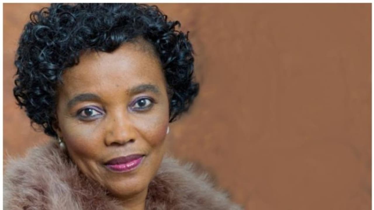 തോക്കിന് മുനയില്‍ നിര്‍ത്തി, ദക്ഷിണാഫ്രിക്കന്‍ ഗതാഗത മന്ത്രിയെ കൊള്ളയടിച്ചു 