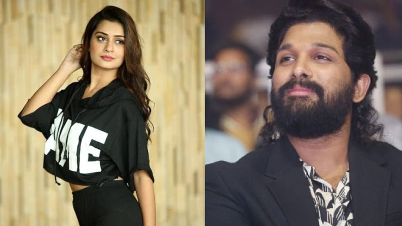 పాయల్ కు సాయంగా అల్లు అర్జున్, మంగళవారం ఈవెంట్ కు ఐకాన్ స్టార్..? పాయల్ కు సాయంగా అల్లు అర్జున్, మంగళవారం ఈవెంట్ కు ఐకాన్ స్టార్..?