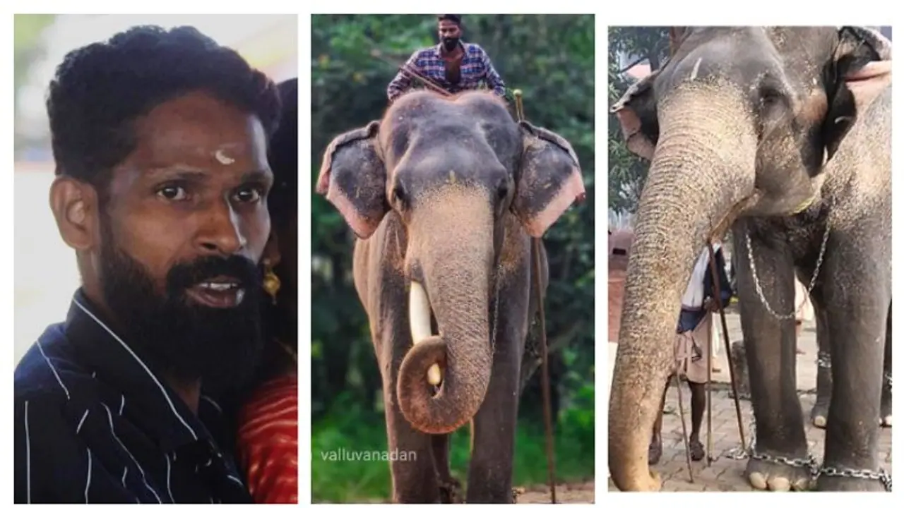 Kerala News Highlights: Elephant kills mahout at Guruvayur Anakotta Kerala News Highlights: Elephant kills mahout at Guruvayur Anakotta