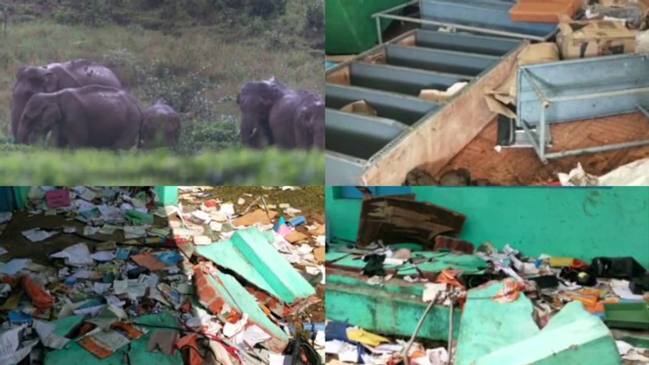 കാടിറങ്ങിയെത്തിയത് ഒരു ഡസനിലധികം കാട്ടാനകള്!, വാല്പ്പാറയില് സ്കൂള് ഓഫീസ് തകര്ത്തു കാടിറങ്ങിയെത്തിയത് ഒരു ഡസനിലധികം കാട്ടാനകള്!, വാല്പ്പാറയില് സ്കൂള് ഓഫീസ് തകര്ത്തു