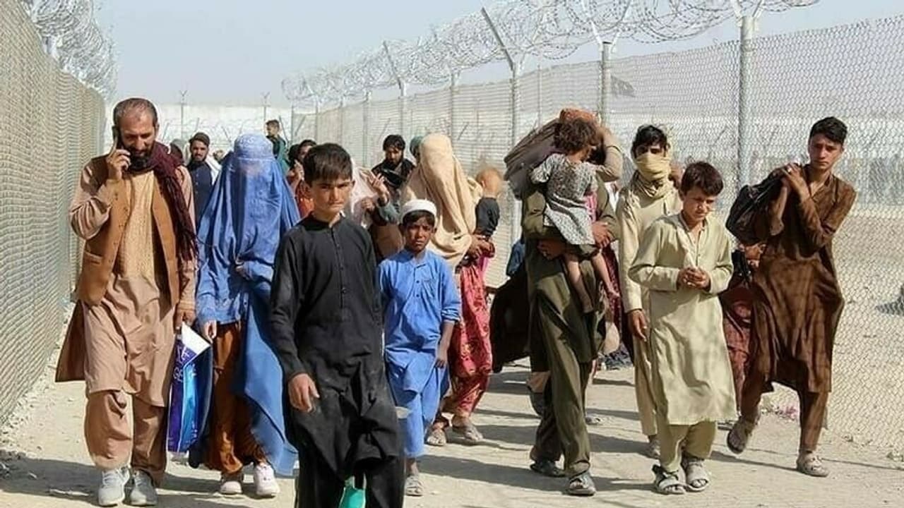 ' രേഖകളില്ലാത്തവർ ഈ മണ്ണിൽ വേണ്ട'; അഫ്ഗാൻ കുടിയേറ്റക്കാരെ തിരിച്ചയച്ച് പാകിസ്ഥാൻ, മുന്നറിയിപ്പമായി താലിബാൻ ' രേഖകളില്ലാത്തവർ ഈ മണ്ണിൽ വേണ്ട'; അഫ്ഗാൻ കുടിയേറ്റക്കാരെ തിരിച്ചയച്ച് പാകിസ്ഥാൻ, മുന്നറിയിപ്പമായി താലിബാൻ